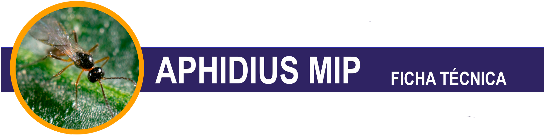 FT-Aphidius-Mip-cabecera