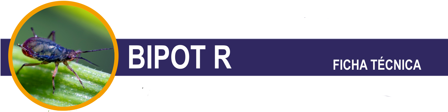 FT-BIPOT-R-cabecera