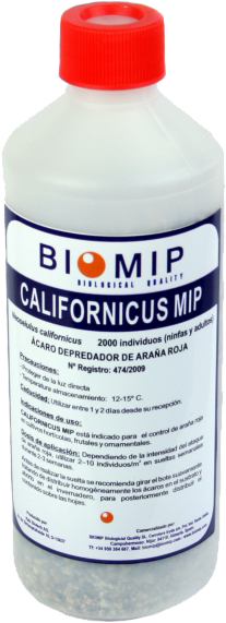 FT-Californicus-Mip-bote