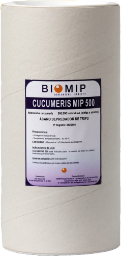Neoseiulus_cucumeris_biomip02