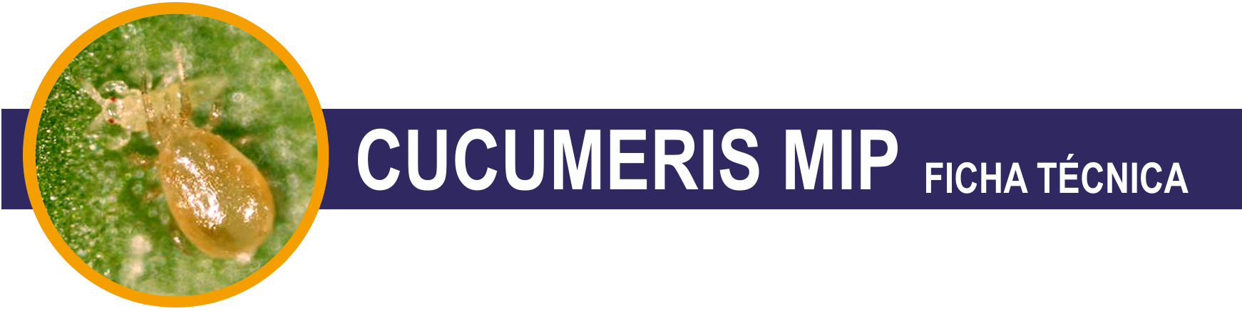 FT-Cucumeris-MIP-cabecera