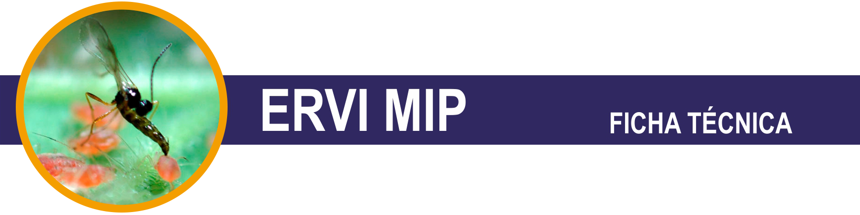 FT-ERVI-MIP-cabecera