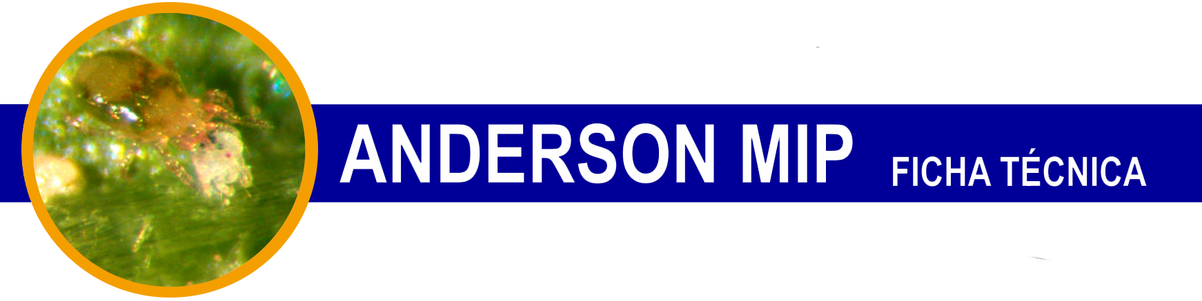 anderson-cabecera